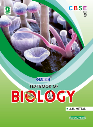 Evergreen publications