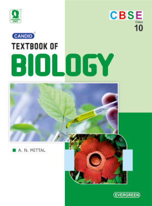 Evergreen publications