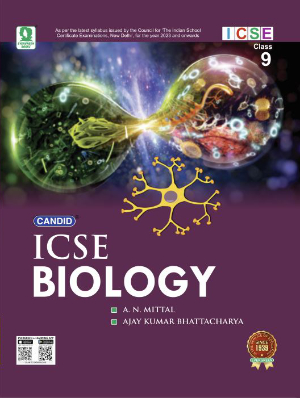 Evergreen publications