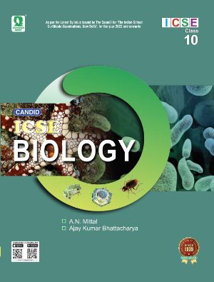 Evergreen publications